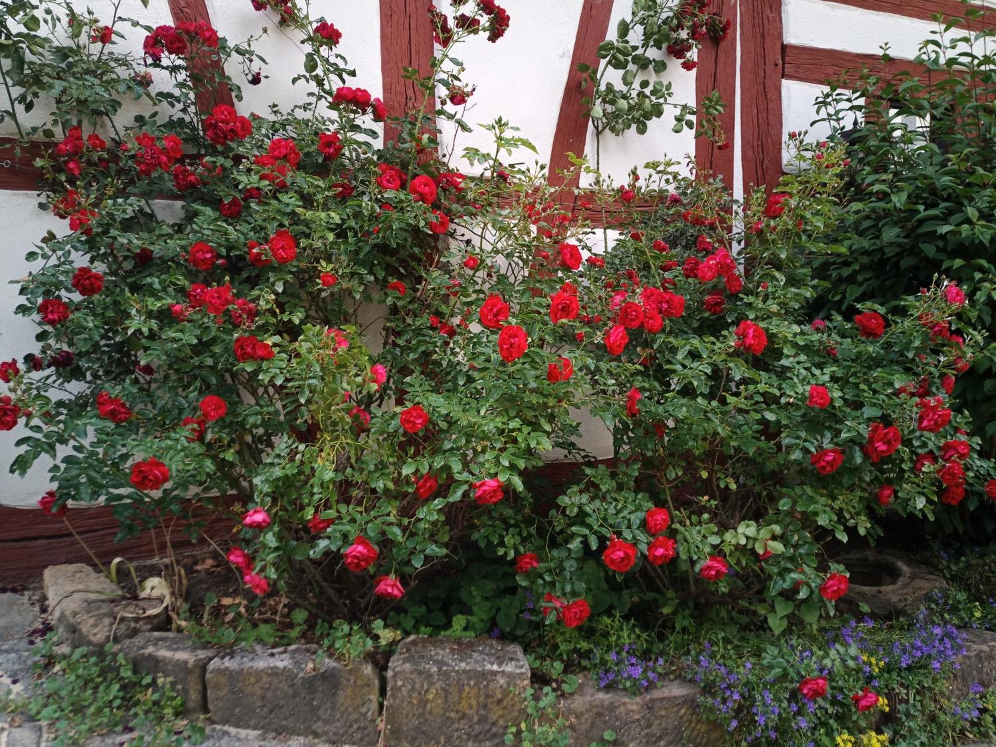 Maisonette-Appartment In Historischem Ambiente 伊普霍芬 外观 照片